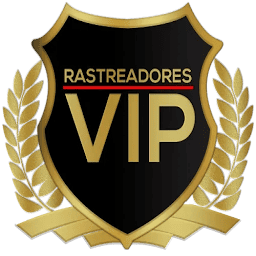 custom_website
